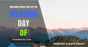 Cold Feet or Fate: How Many Couples Cancel Their Wedding Day?