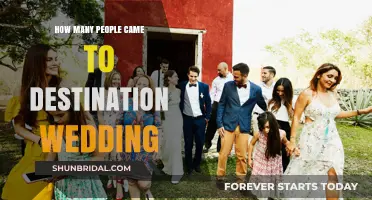 Destination Wedding Attendance: Counting Guests Who Traveled for Your Big Day
