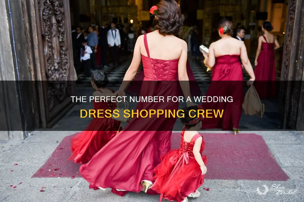 how many people can be in a wedding dress picking