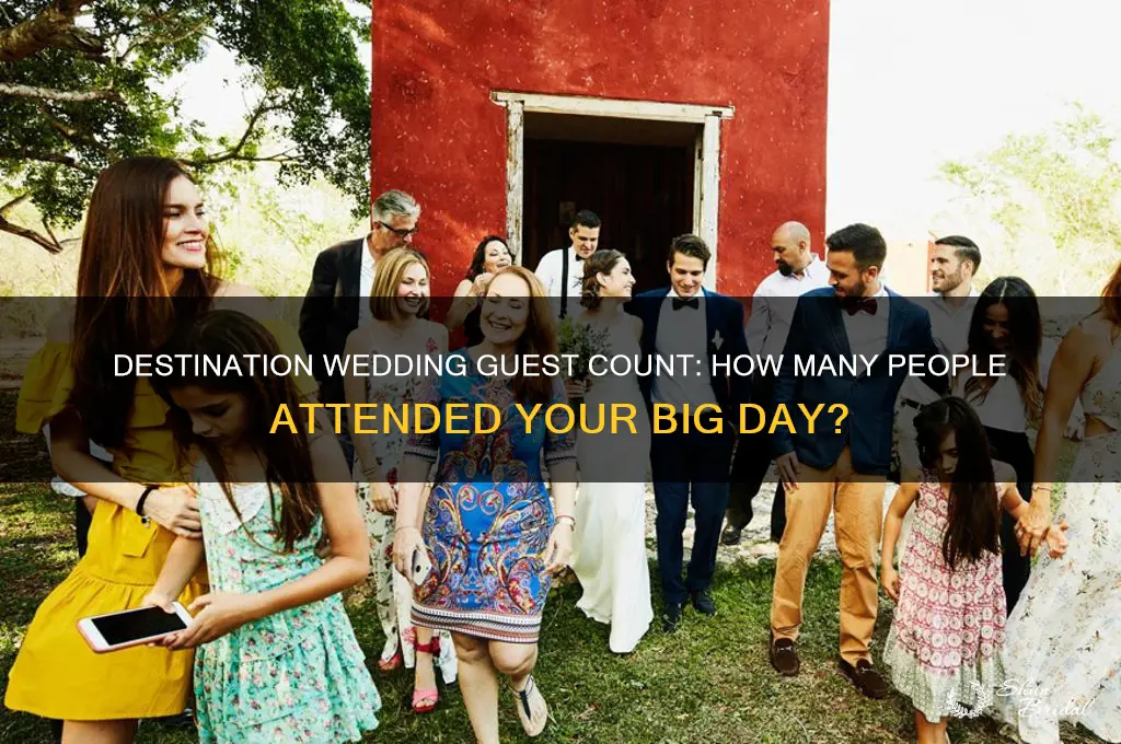 how many people did you have at your desination wedding