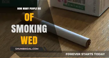 Deadly Habit: Smoking's Weekly Toll on Human Lives