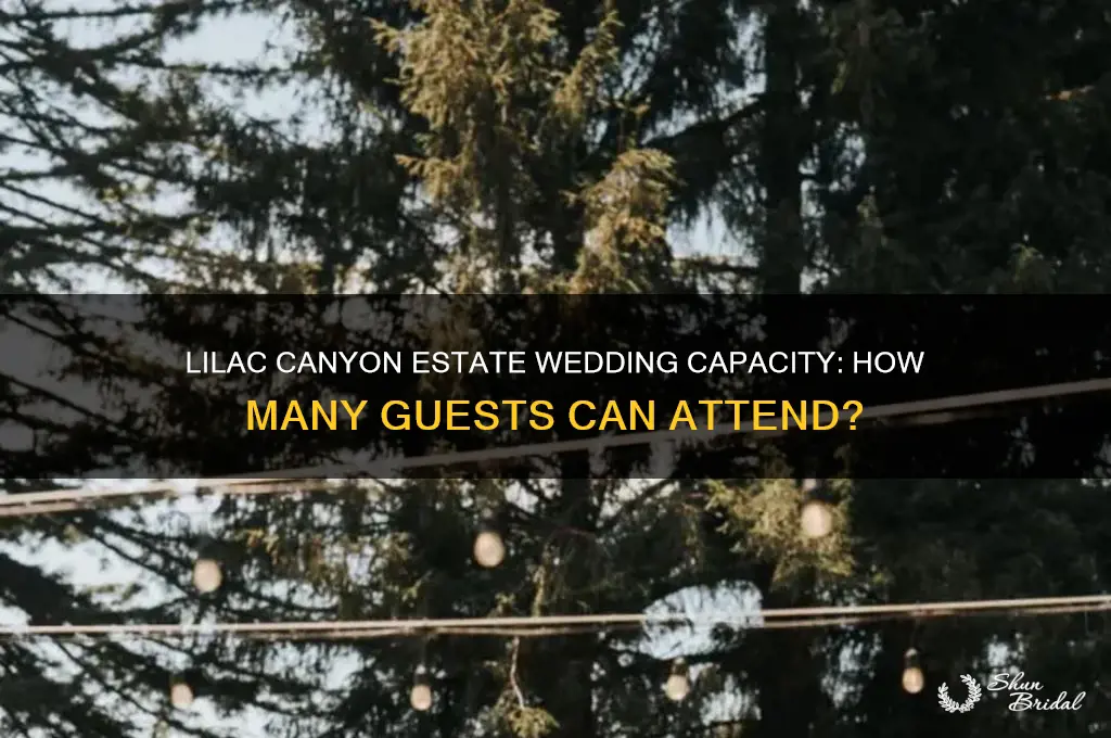 how many people does lilac canyon estate hold for weddings