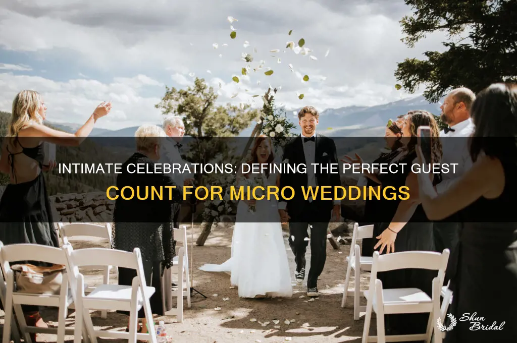 how many people for a micro wedding