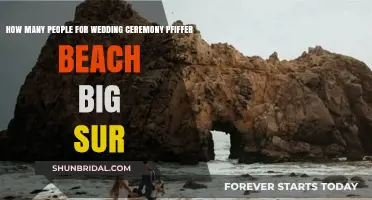 Perfect Pfiffer Beach Wedding: Ideal Guest Count for Big Sur Ceremonies
