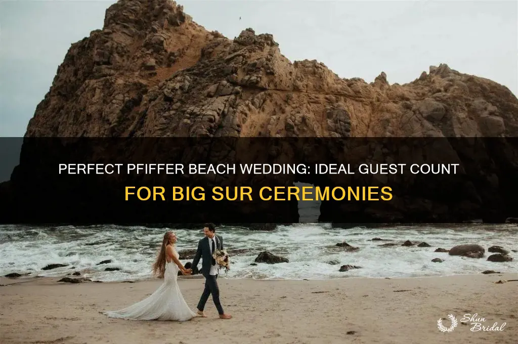 how many people for wedding ceremony pfiffer beach big sur