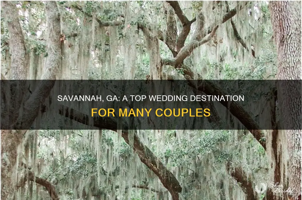 how many people go to savannah ga for their wedding