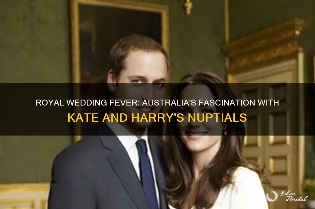 how many people in australia watch royal wedding kate harry