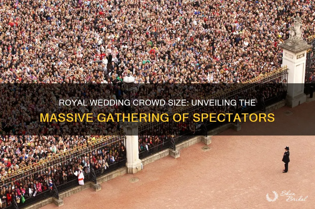 how many people in crowd royal wedding