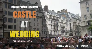Crowds at Windsor Castle: Royal Wedding Attendance Unveiled