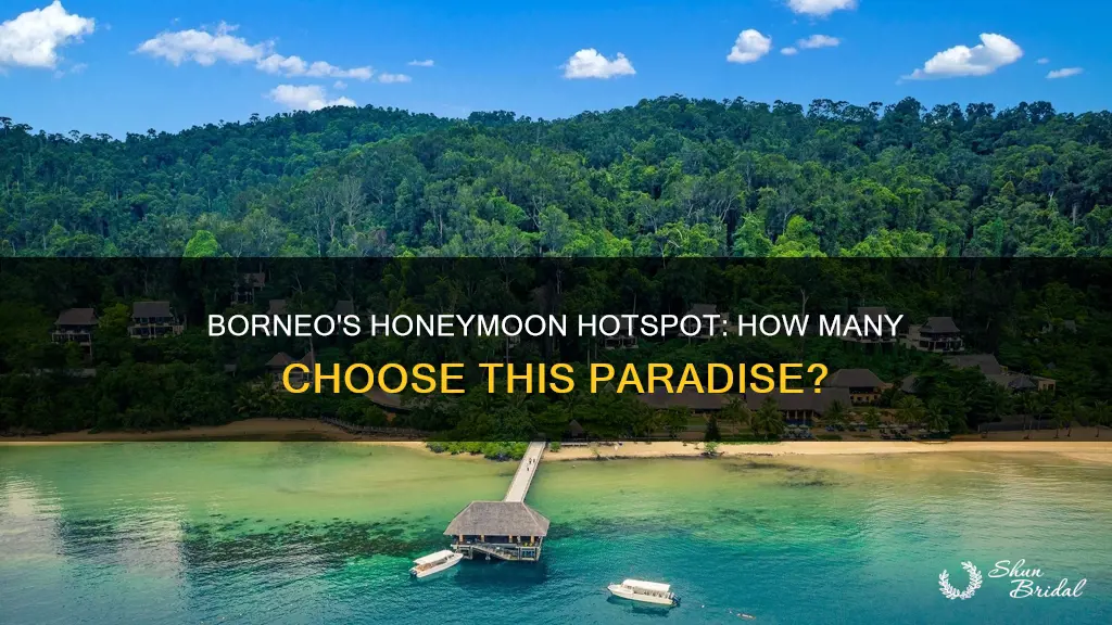 how many people travel to borneo for their honeymoon