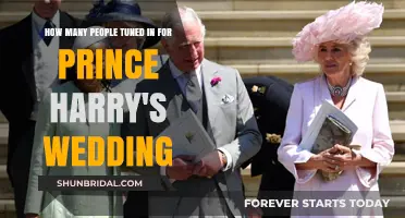 Prince Harry's Royal Wedding: Global Audience and Viewing Statistics