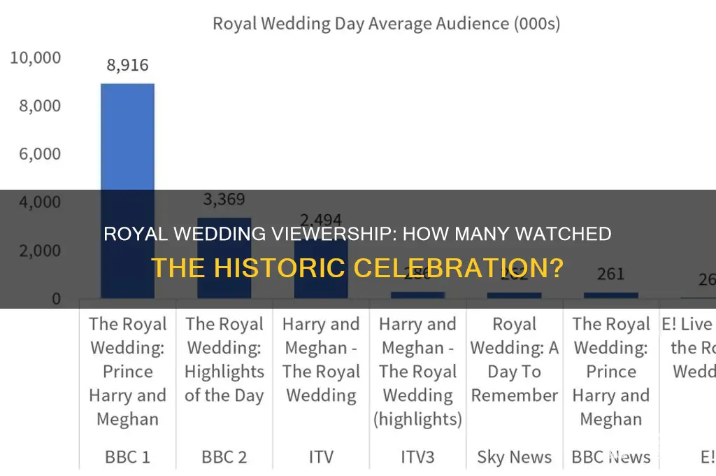 how many people tuned in to royal wedding