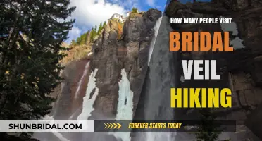 Bridal Veil Falls Hiking Trail: Annual Visitor Numbers and Trends