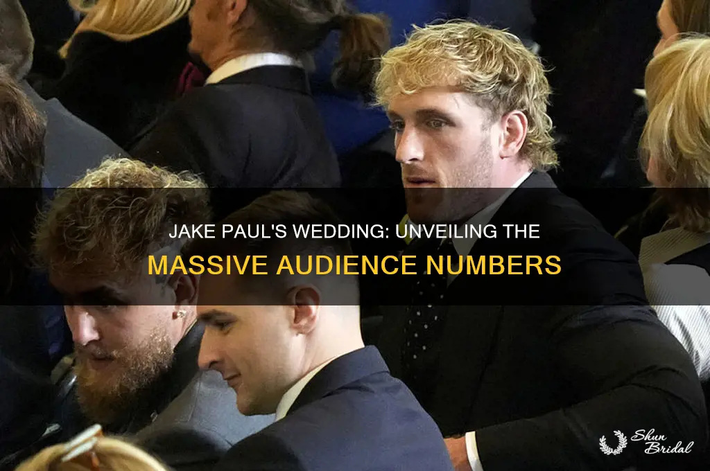 how many people watched jake paul