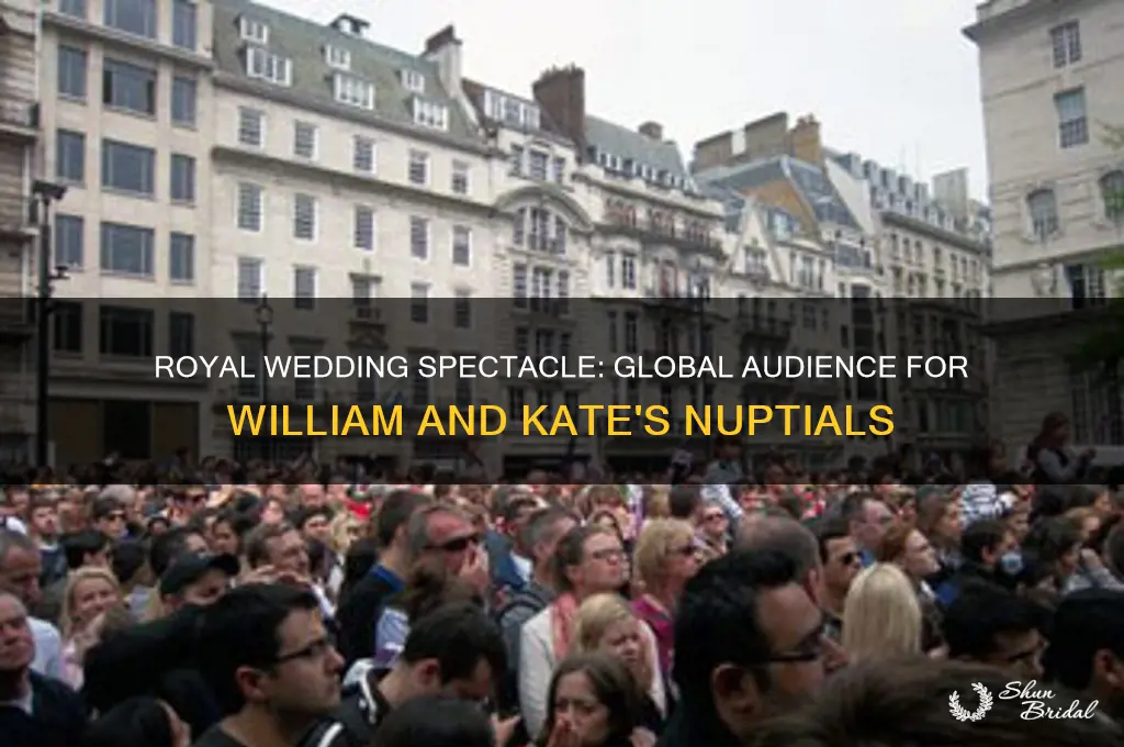 how many people watched prince william and kate