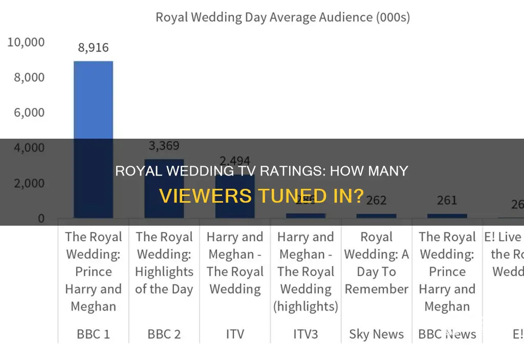 how many people watched royal wedding on tv