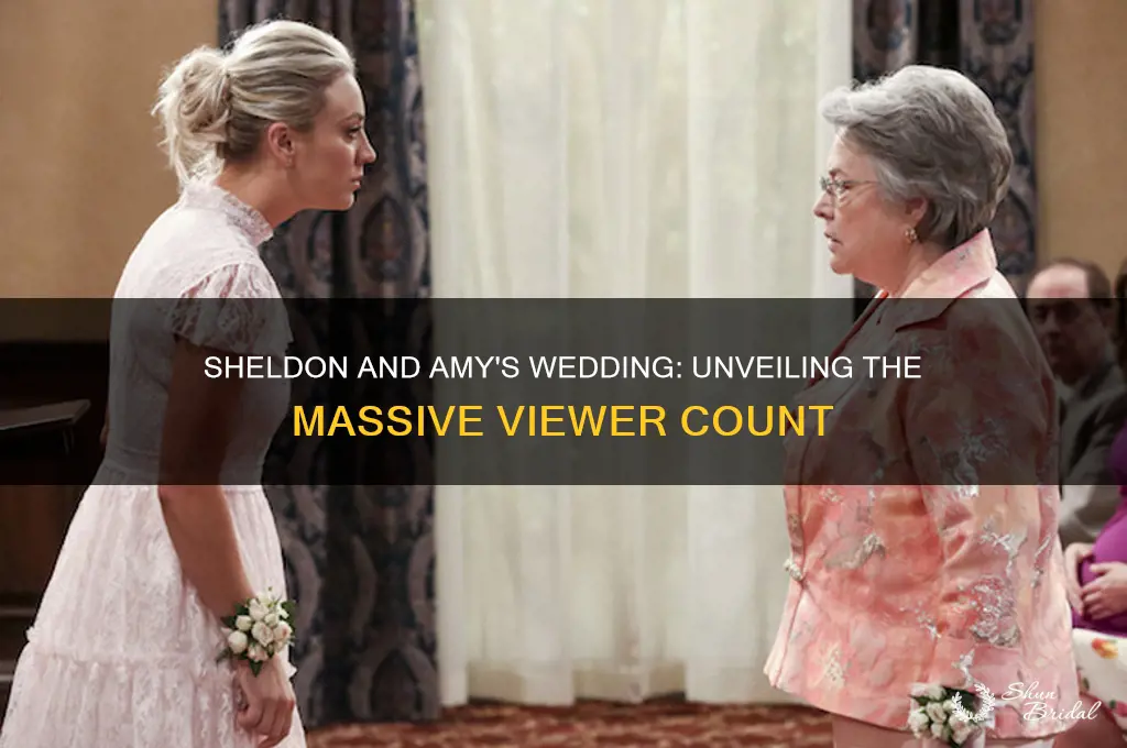 how many people watched sheldon and amy