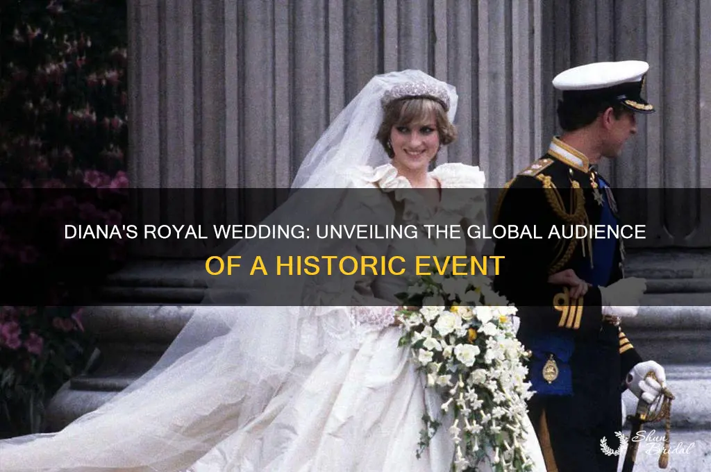 how many people watched the diana