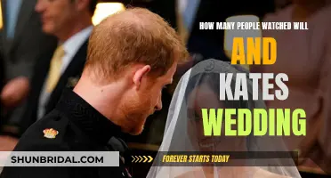Millions Witnessed Will and Kate's Royal Wedding