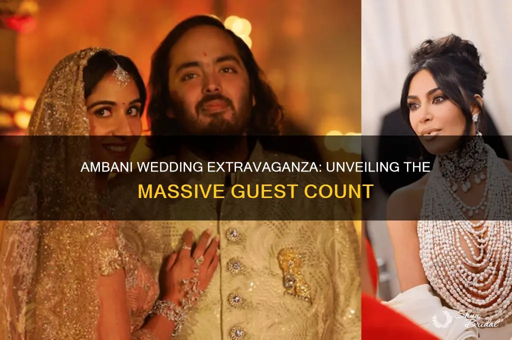 how many people went to ambani wedding