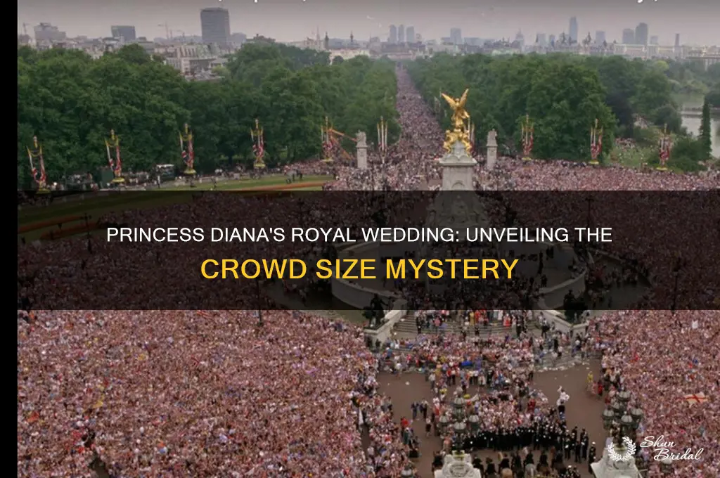 how many people were at princess diana