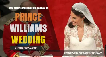 Crowds at Prince William's Royal Wedding: London's Historic Turnout