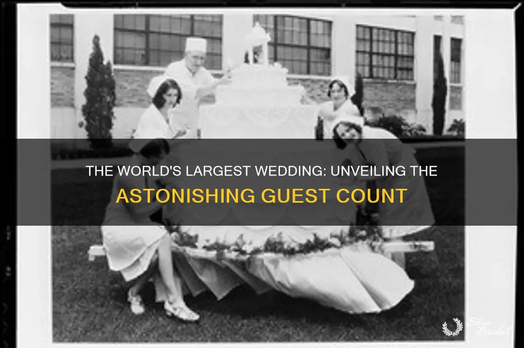 how many people were in the biggest wedding