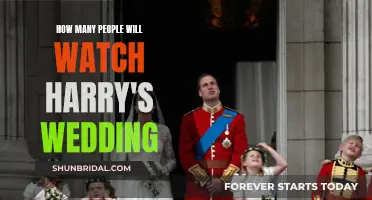 Worldwide Audience for Harry's Wedding: How Many?