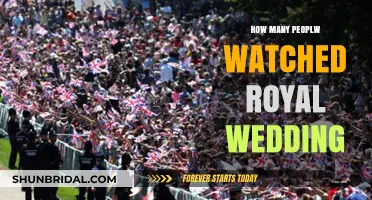 Royal Wedding Spectacle: Unveiling the Global Audience Numbers