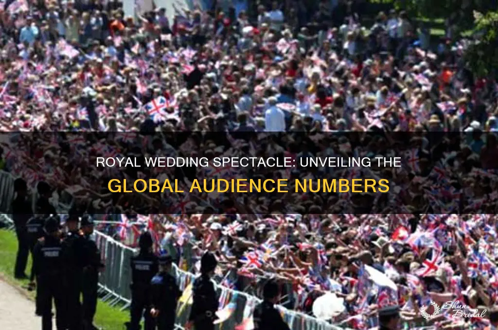 how many peoplw watched royal wedding