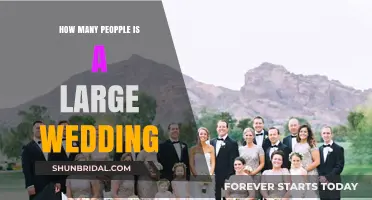 Defining a Large Wedding: Guest Count Insights and Planning Tips