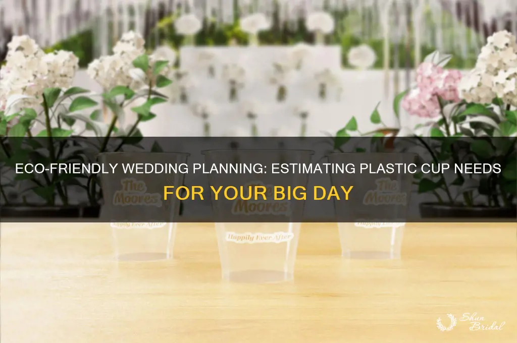 how many plastic cups for a wedding