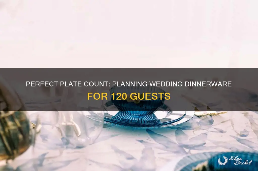 how many plates to order for wedding of 120