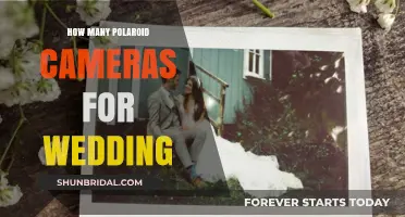 Perfect Polaroid Count: Capturing Your Wedding Memories Effortlessly
