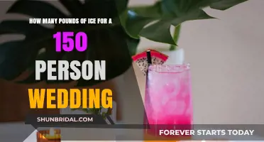 Perfect Ice Quantities for a 150-Guest Wedding Celebration