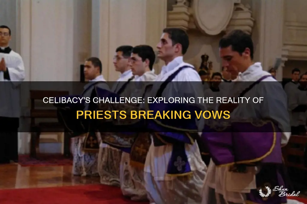 how many priests break their vow of celibacy