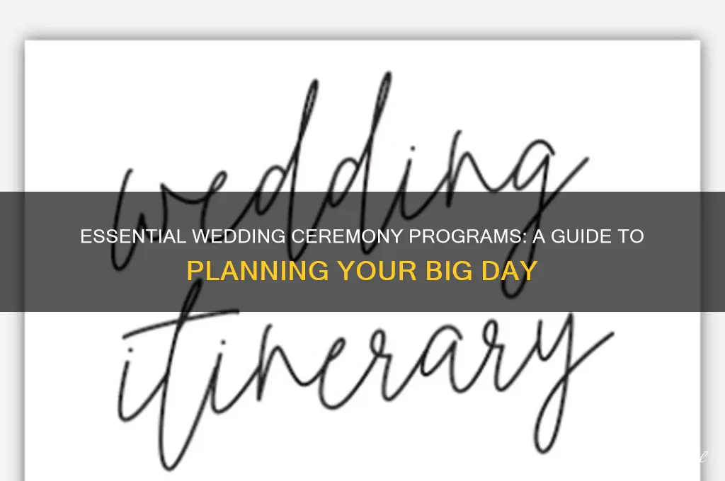 how many programs for wedding ceremony