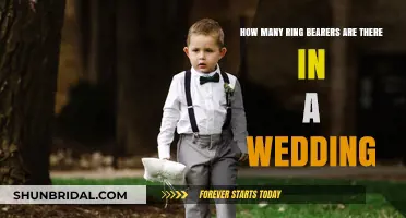 Ring Bearers: How Many Are Ideal for a Wedding?