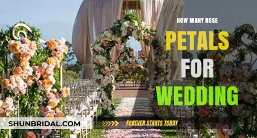 Perfect Petals: How Many Rose Petals Do You Need for Your Wedding?