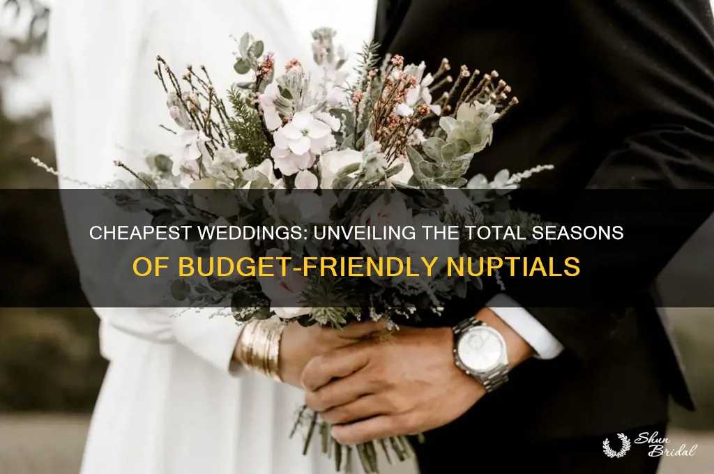 how many seasons of cheapest weddings