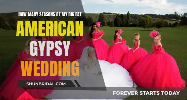 My Big Fat American Gypsy Wedding: A Decade of Drama and Seasons