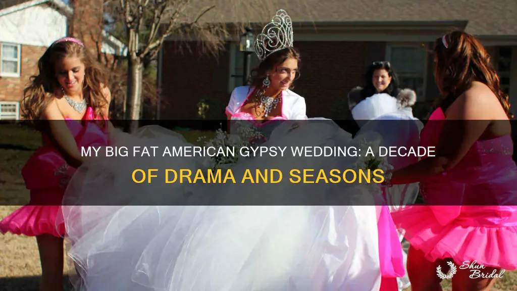 how many seasons of my big fat american gypsy wedding