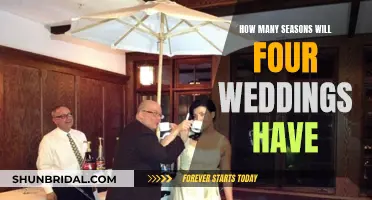 Weddings Galore: Four Seasons of Love and Drama