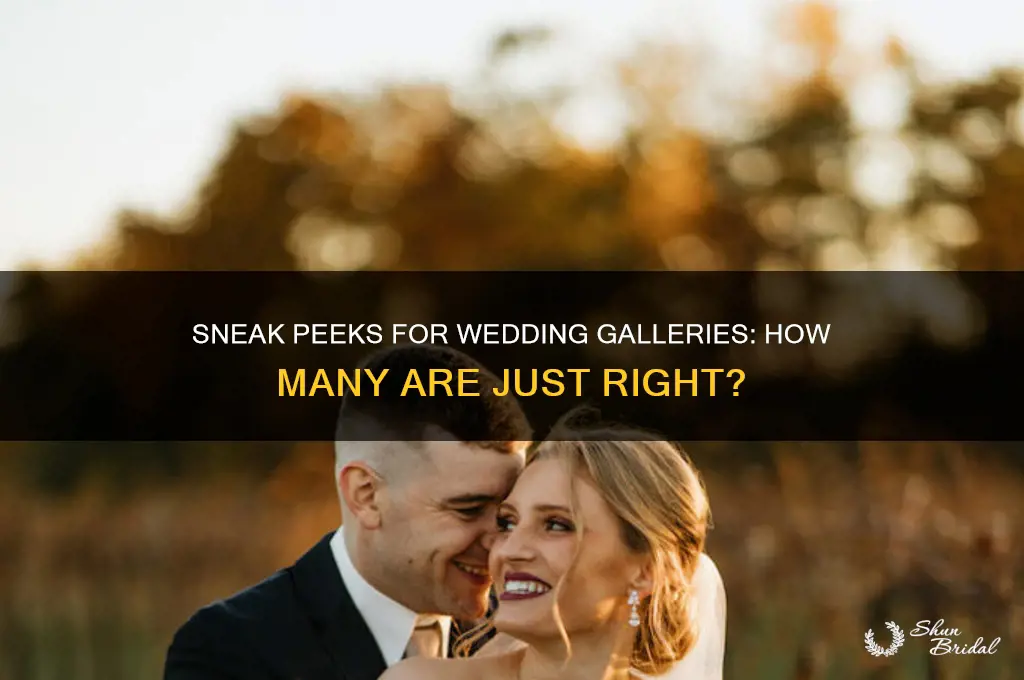 how many sneak prewviews for wedding gallery