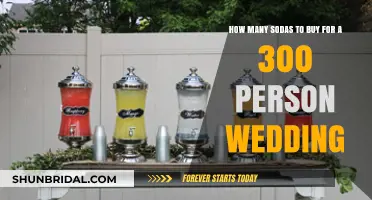 Soda Supply Guide: Planning Refreshments for Your 300-Guest Wedding