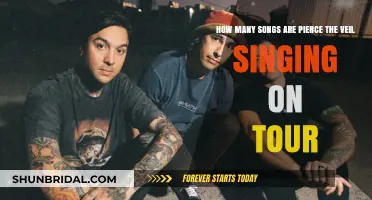 Pierce the Veil's Tour Setlist: How Many Songs Will They Play?