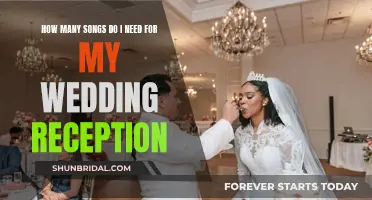 Songs for a Wedding Reception: How Many Do I Need?