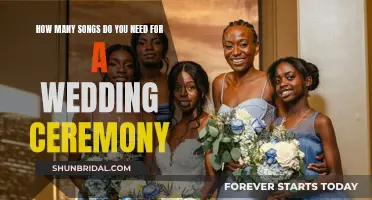 Wedding Ceremony Song Selection: How Many Tunes Are Needed?