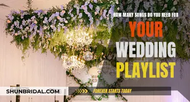 Creating the Perfect Wedding Playlist: How Many Songs?