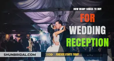 Perfect Wedding Reception Playlist: How Many Songs to Buy?
